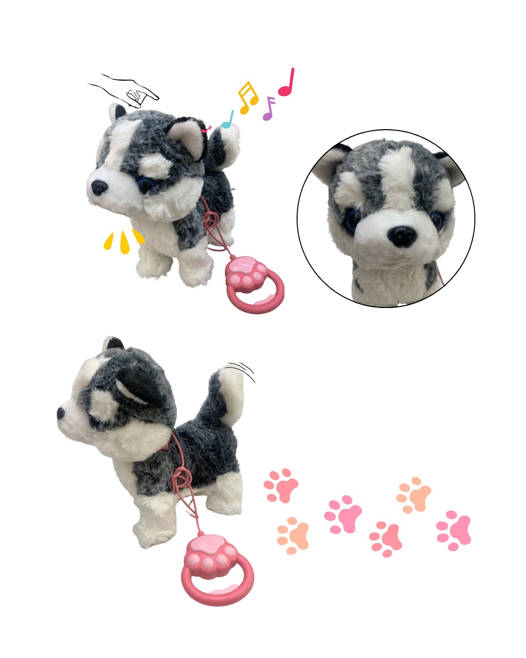 PERRO CON CUERDA CAMINA LADRA